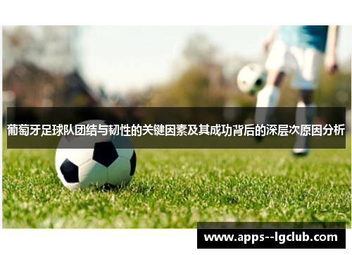 葡萄牙足球队团结与韧性的关键因素及其成功背后的深层次原因分析