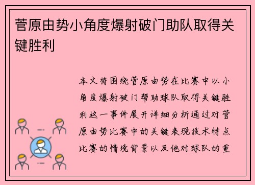 菅原由势小角度爆射破门助队取得关键胜利